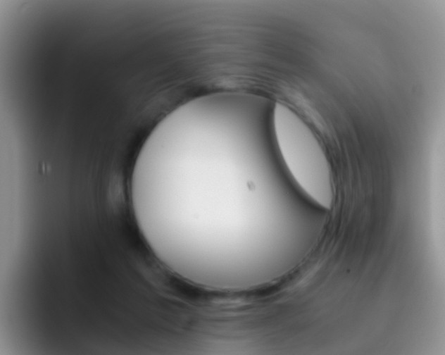 X0000092290213200709140946