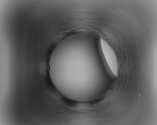 X0000092290223200709140946