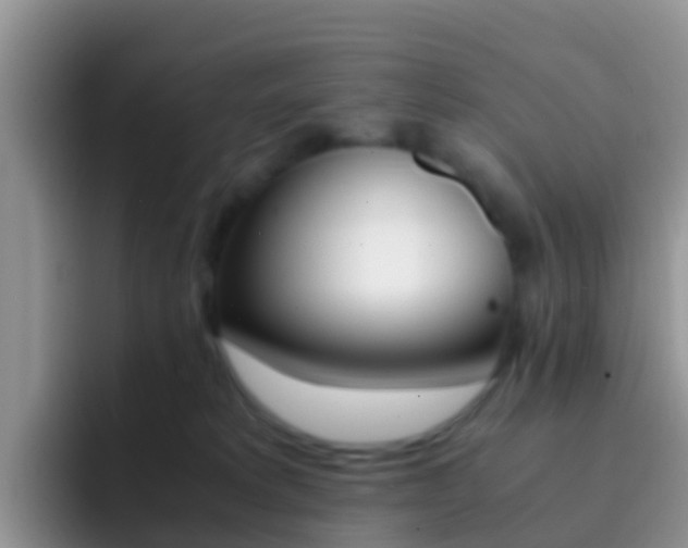 X0000092290229200709140946
