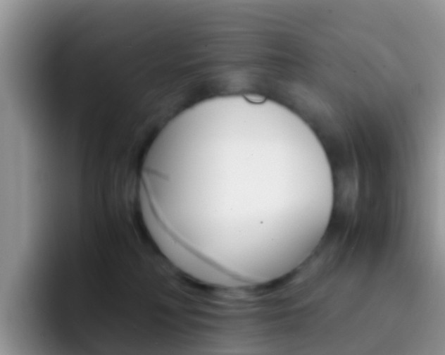 X0000092290230200709140946