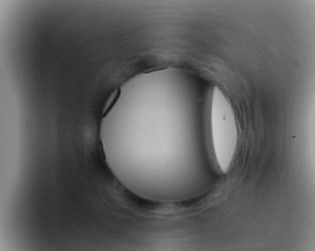 X0000092290231200709140946