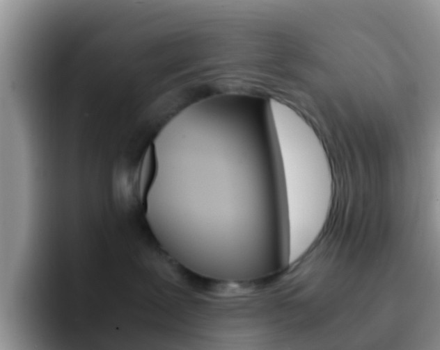 X0000092290239200709140946