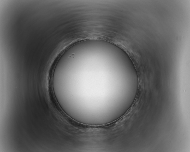 X0000092290242200709140945