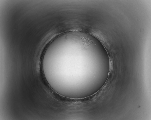 X0000092290243200709140945