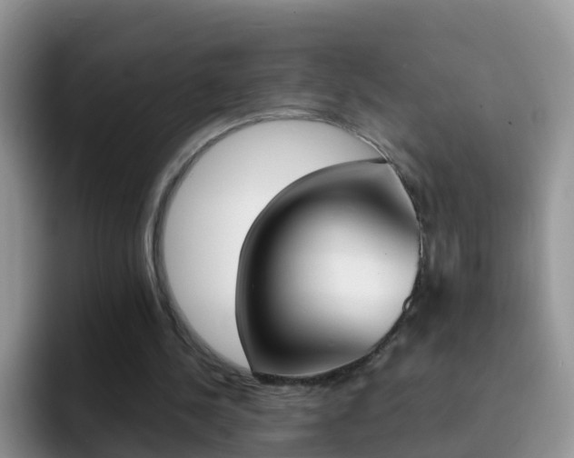 X0000092290244200709140946