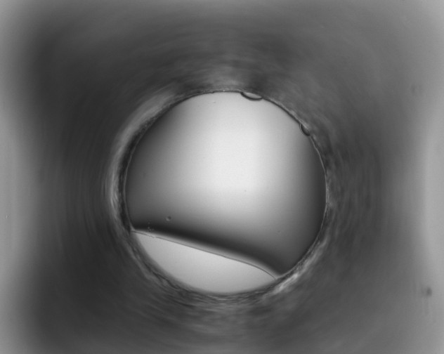 X0000092290245200709140946