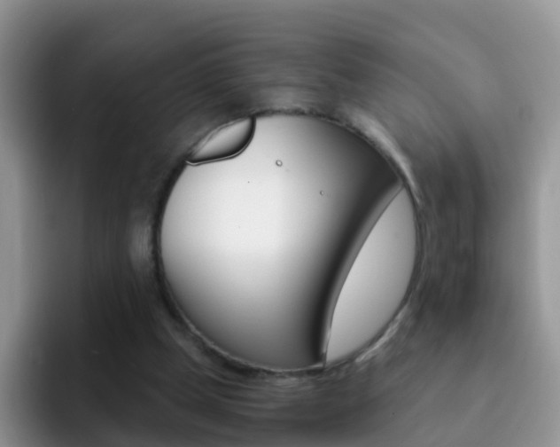X0000092290249200709140946