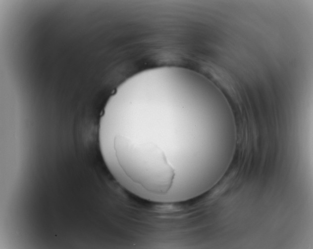 X0000092290281200709140946
