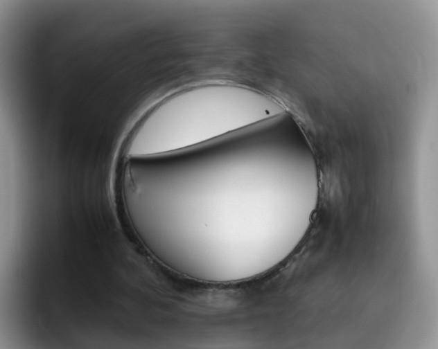 X0000092290292200709140945