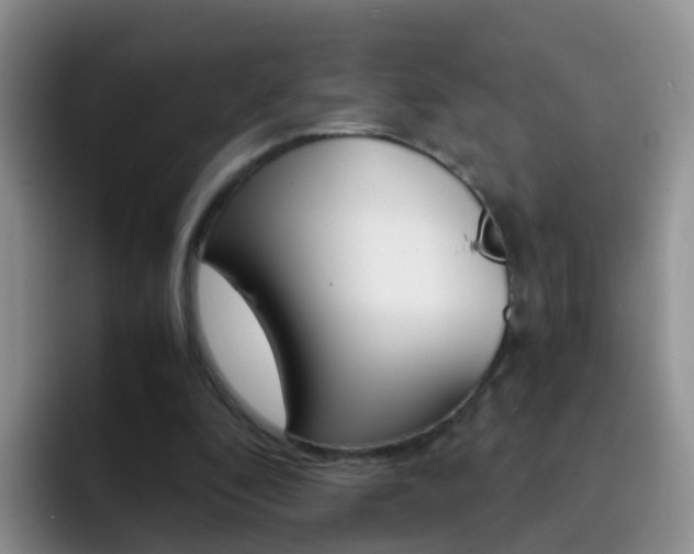 X0000092290296200709140945