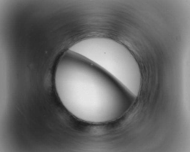 X0000092290303200709140945