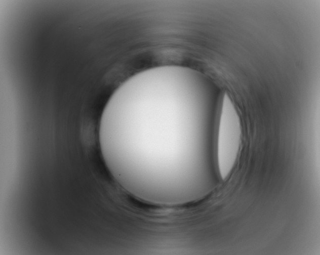 X0000092290323200709140945