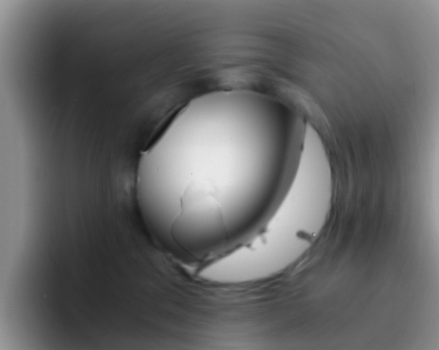 X0000092290329200709140945