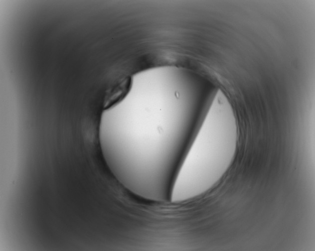 X0000092290331200709140945