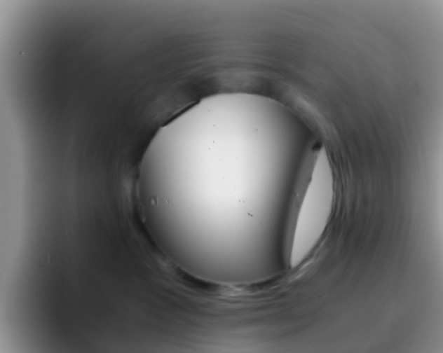 X0000092290333200709140945