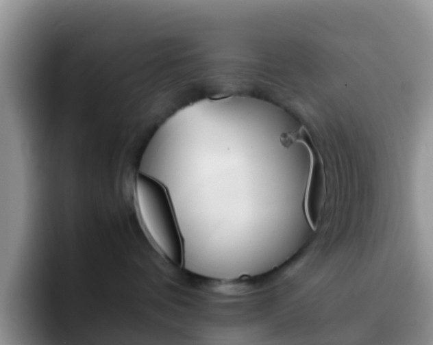 X0000092290336200709140945