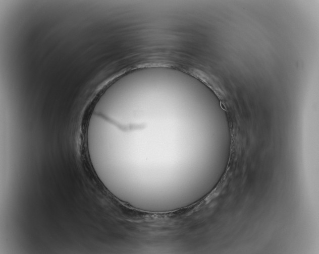 X0000092290338200709140944