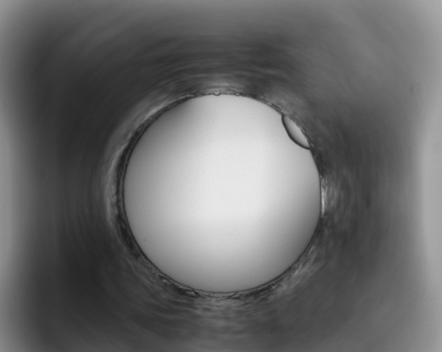 X0000092290339200709140944
