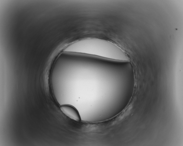 X0000092290341200709140944