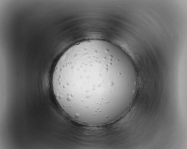 X0000092290347200709140944