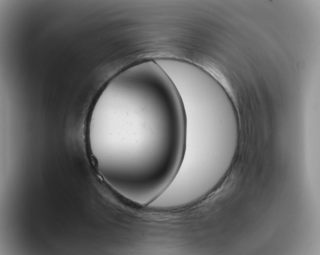 X0000092290389200709140944