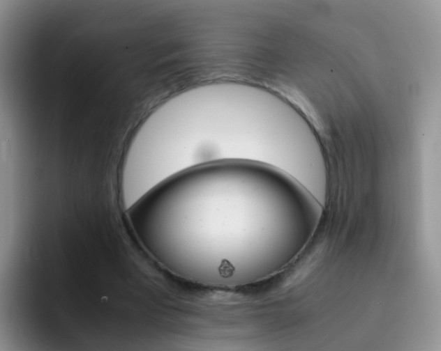 X0000092290393200709140944
