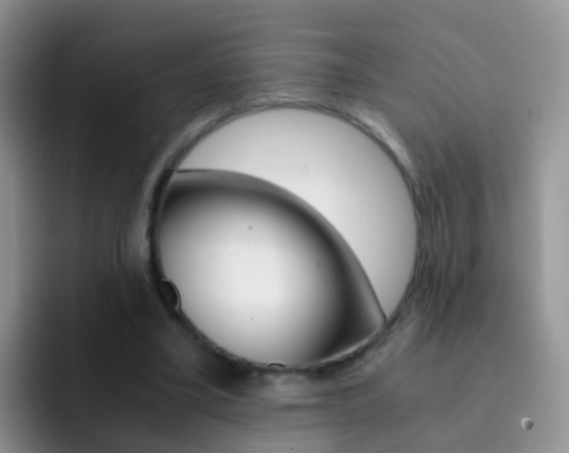 X0000092290395200709140944