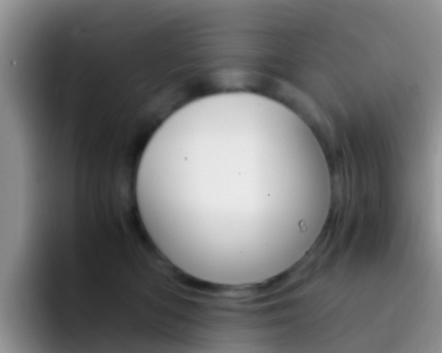 X0000092290422200709140944