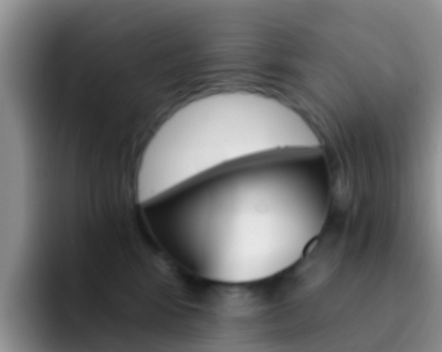 X0000092290424200709140944