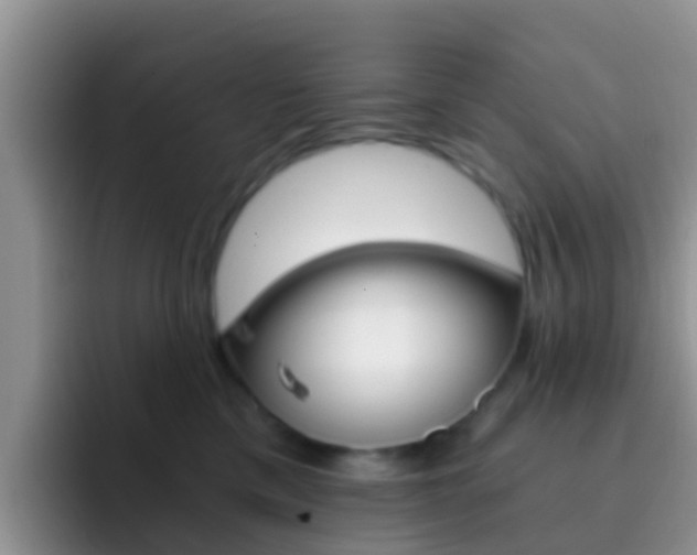 X0000092290425200709140944