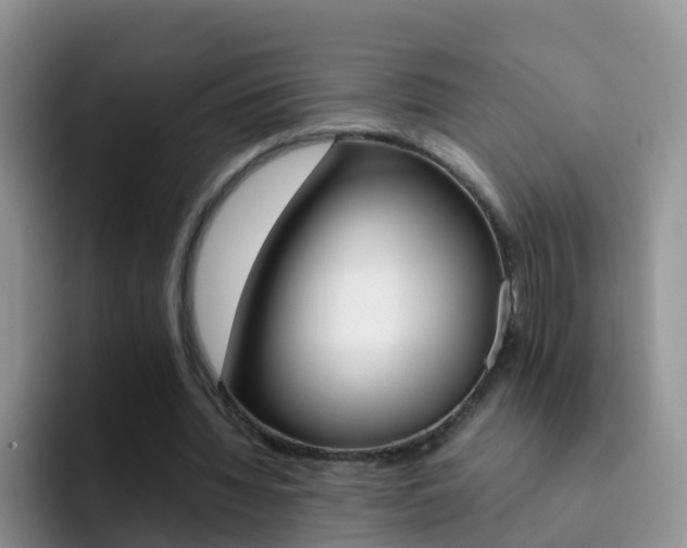 X0000092290436200709140943