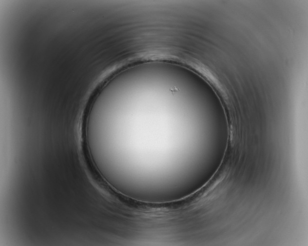 X0000092290438200709140943