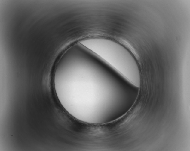 X0000092290439200709140943