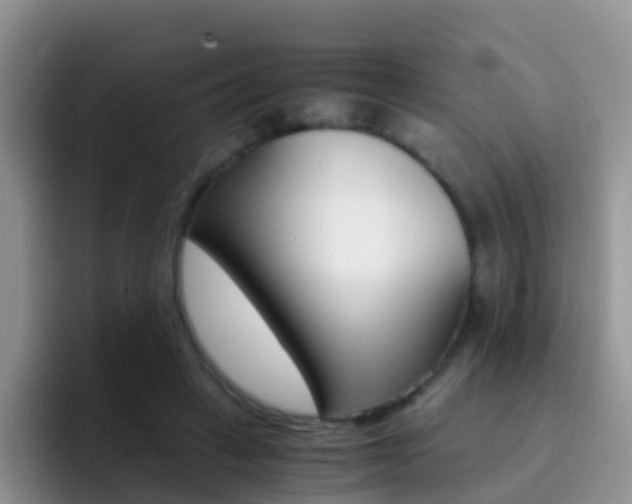 X0000092290449200709140943