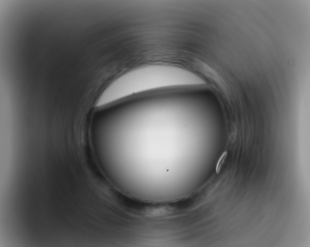 X0000092290452200709140943