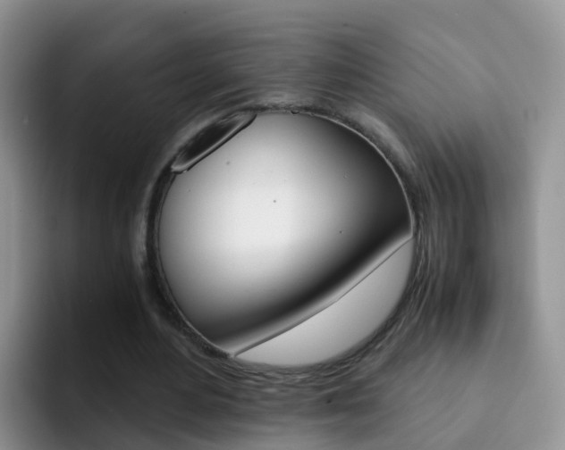 X0000092290484200709140943
