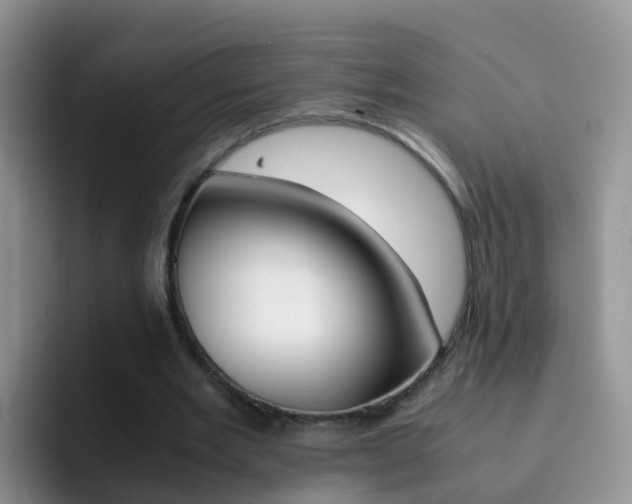 X0000092290485200709140943