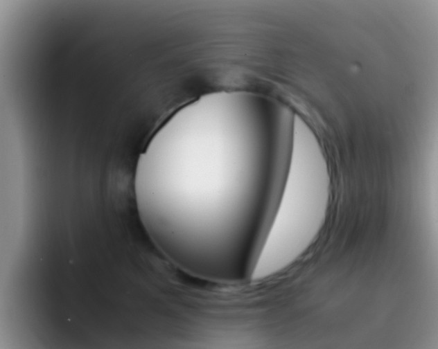 X0000092290521200709140943
