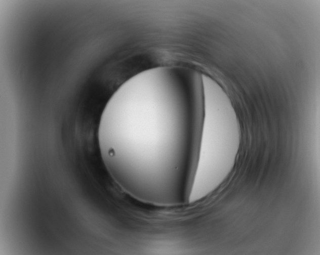 X0000092290525200709140943