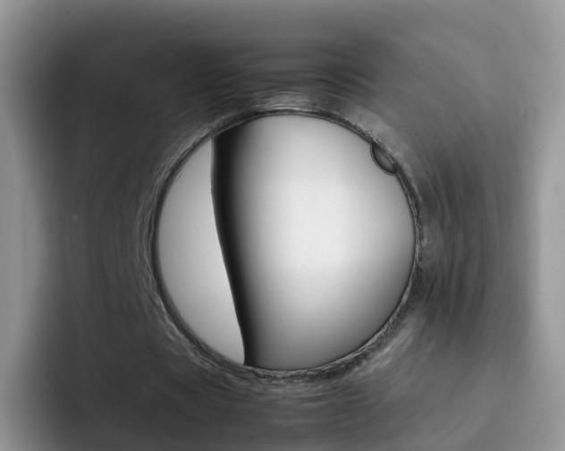 X0000092290529200709140942