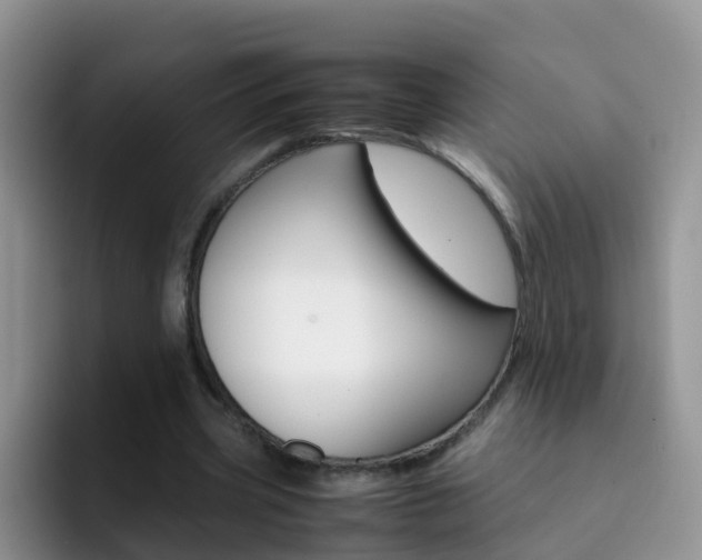X0000092290533200709140942