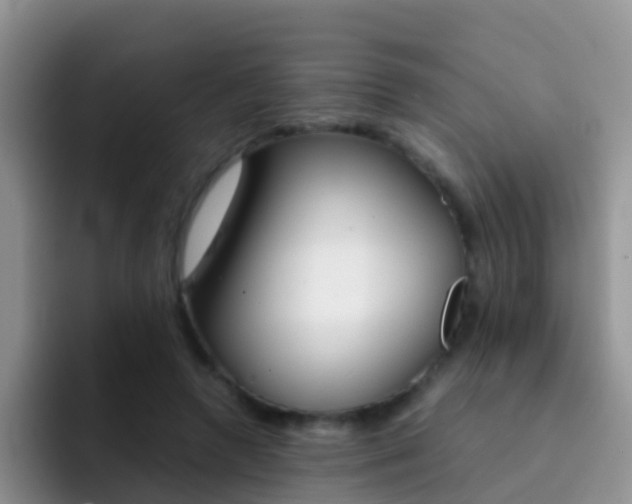X0000092290546200709140942