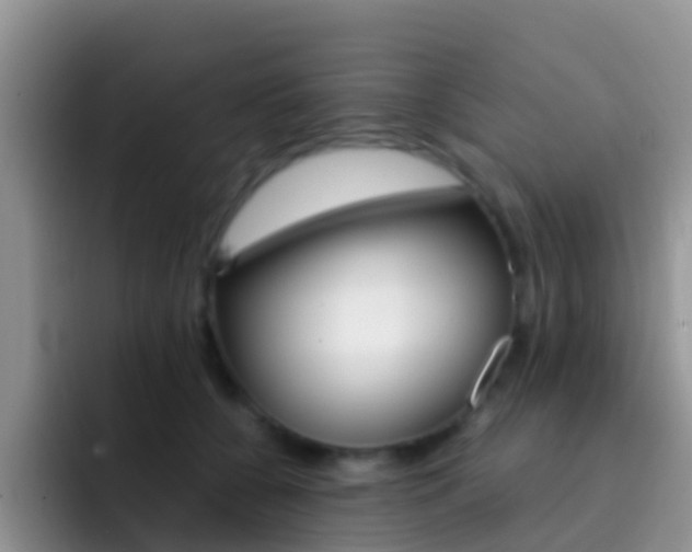 X0000092290560200709140942