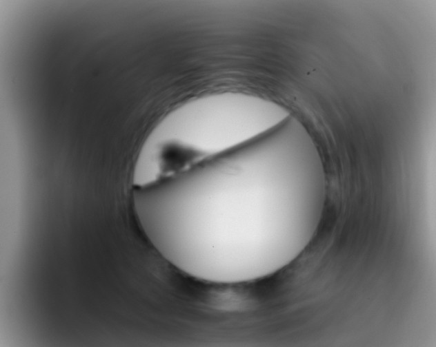 X0000092290561200709140942