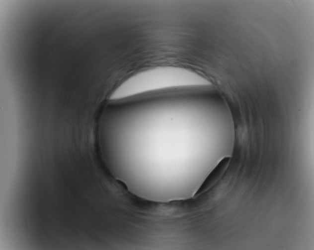 X0000092290570200709140943