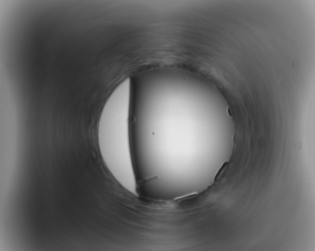 X0000092290576200709140943