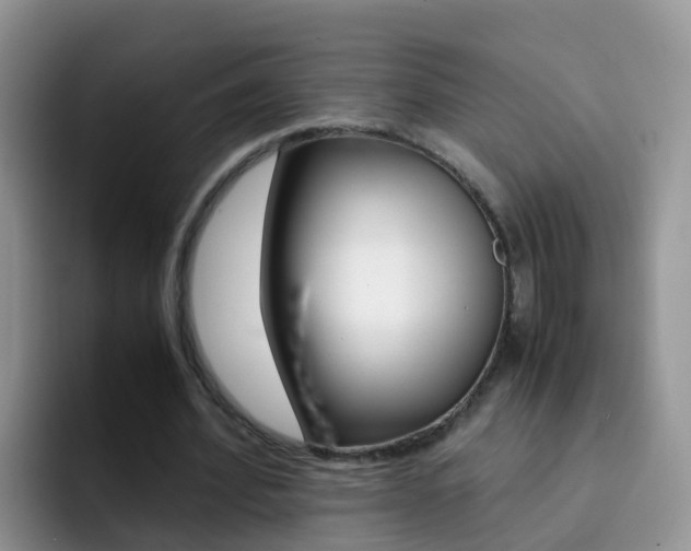 X0000092290580200709140942