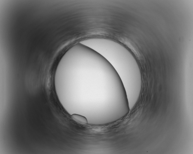 X0000092290583200709140942