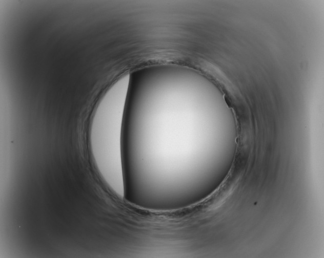 X0000092290585200709140942