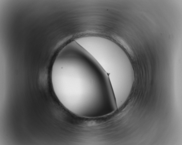 X0000092290588200709140942